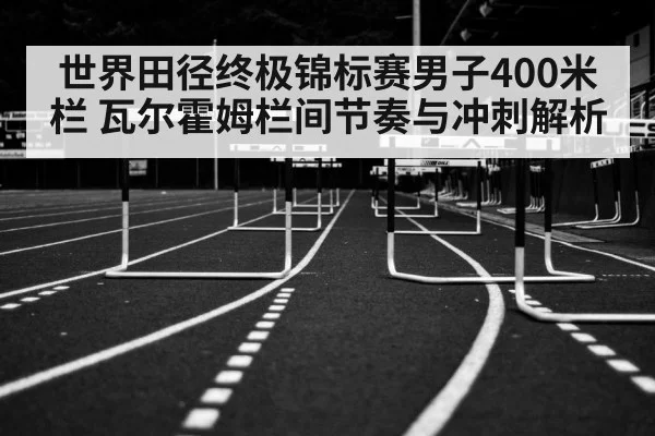 世界田径终极锦标赛男子400米栏 瓦尔霍姆栏间节奏与冲刺解析